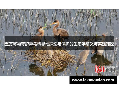 五方寒物守护异鸟栖息地探索与保护的生态学意义与实践路径 五方寒物守护异鸟栖息地探索与保护的生态学意义与实践路径